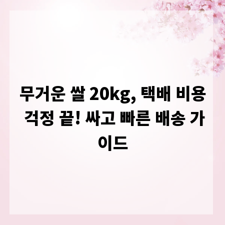 무거운 쌀 20kg, 택배 비용 걱정 끝! 싸고 빠른 배송 가이드