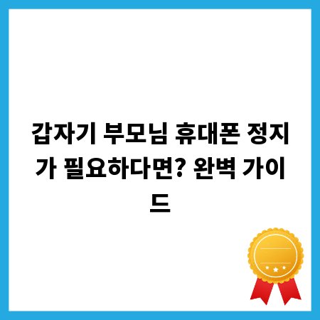 갑자기 부모님 휴대폰 정지가 필요하다면? 완벽 가이드