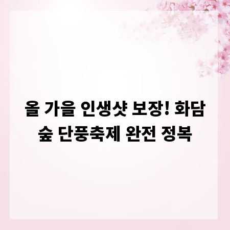올 가을 인생샷 보장! 화담숲 단풍축제 완전 정복