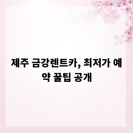 제주 금강렌트카, 최저가 예약 꿀팁 공개
