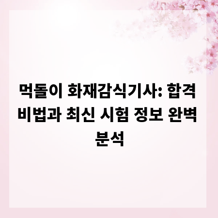 먹돌이 화재감식기사: 합격 비법과 최신 시험 정보 완벽 분석