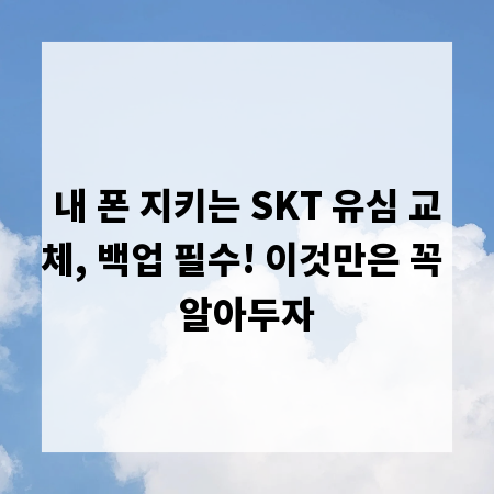내 폰 지키는 SKT 유심 교체, 백업 필수! 이것만은 꼭 알아두자