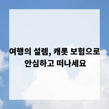 여행의 설렘, 캐롯 보험으로 안심하고 떠나세요