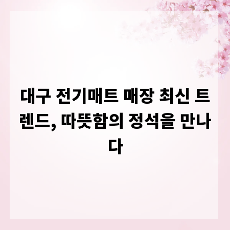 대구 전기매트 매장 최신 트렌드, 따뜻함의 정석을 만나다