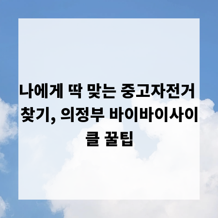 나에게 딱 맞는 중고자전거 찾기, 의정부 바이바이사이클 꿀팁