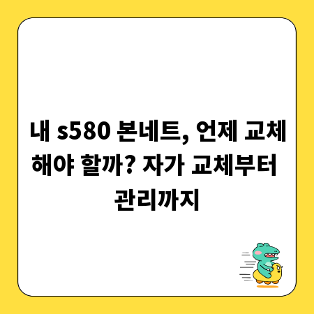 내 s580 본네트, 언제 교체해야 할까? 자가 교체부터 관리까지