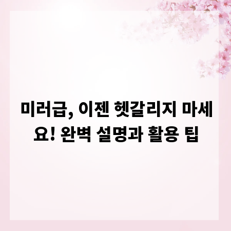 미러급, 이젠 헷갈리지 마세요! 완벽 설명과 활용 팁