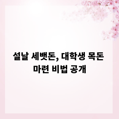 설날 세뱃돈, 대학생 목돈 마련 비법 공개