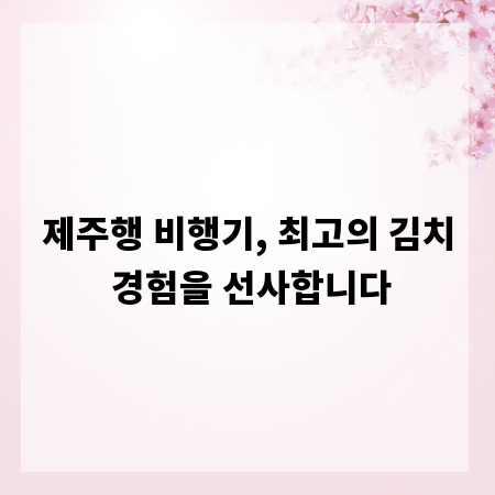 제주행 비행기, 최고의 김치 경험을 선사합니다