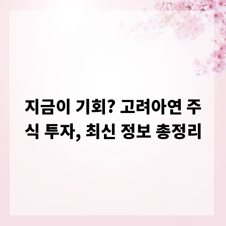 지금이 기회? 고려아연 주식 투자, 최신 정보 총정리