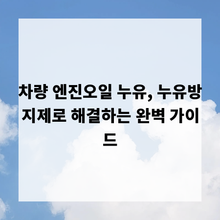 차량 엔진오일 누유, 누유방지제로 해결하는 완벽 가이드