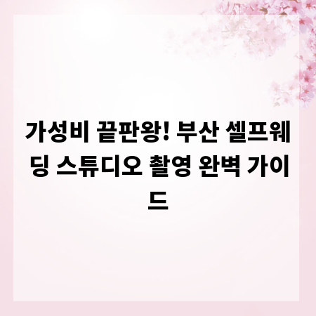 가성비 끝판왕! 부산 셀프웨딩 스튜디오 촬영 완벽 가이드
