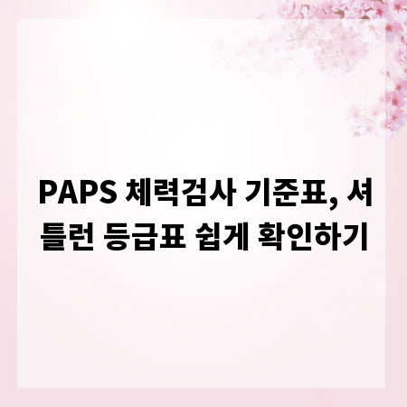 PAPS 체력검사 기준표, 셔틀런 등급표 쉽게 확인하기