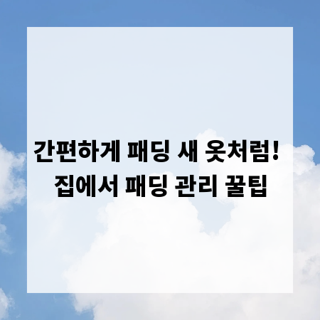 간편하게 패딩 새 옷처럼! 집에서 패딩 관리 꿀팁