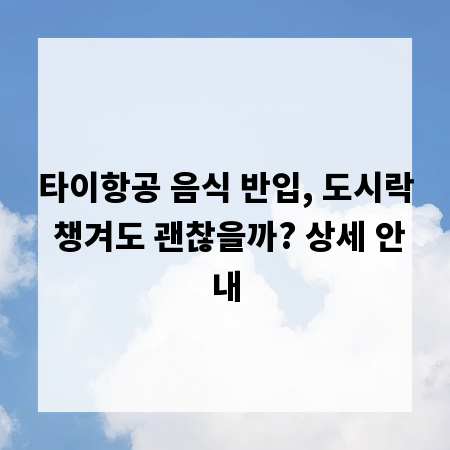 타이항공 음식 반입, 도시락 챙겨도 괜찮을까? 상세 안내