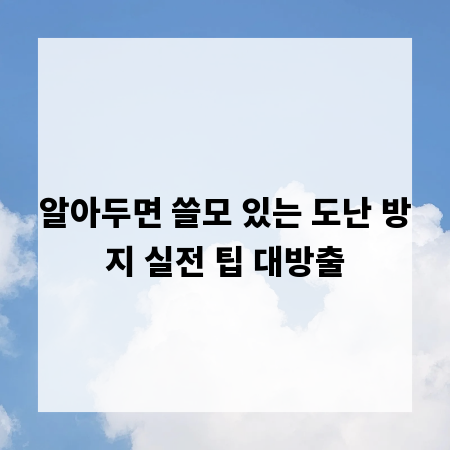 알아두면 쓸모 있는 도난 방지 실전 팁 대방출