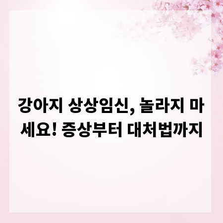 강아지 상상임신, 놀라지 마세요! 증상부터 대처법까지