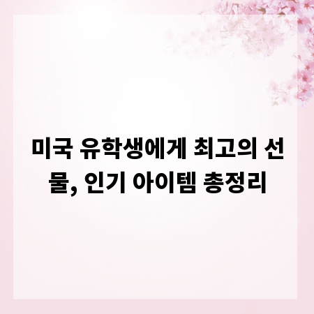 미국 유학생에게 최고의 선물, 인기 아이템 총정리