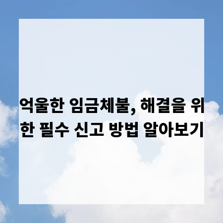 억울한 임금체불, 해결을 위한 필수 신고 방법 알아보기