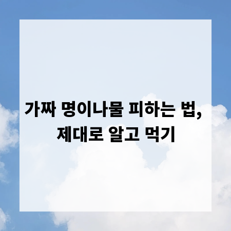 가짜 명이나물 피하는 법, 제대로 알고 먹기