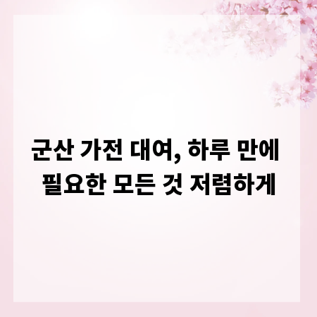 군산 가전 대여, 하루 만에 필요한 모든 것 저렴하게