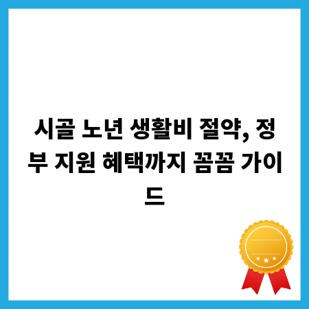 시골 노년 생활비 절약, 정부 지원 혜택까지 꼼꼼 가이드