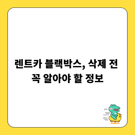 렌트카 블랙박스, 삭제 전 꼭 알아야 할 정보