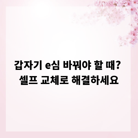 갑자기 e심 바꿔야 할 때? 셀프 교체로 해결하세요