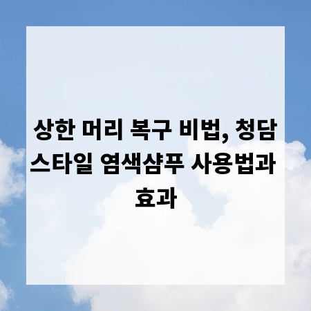 상한 머리 복구 비법, 청담스타일 염색샴푸 사용법과 효과