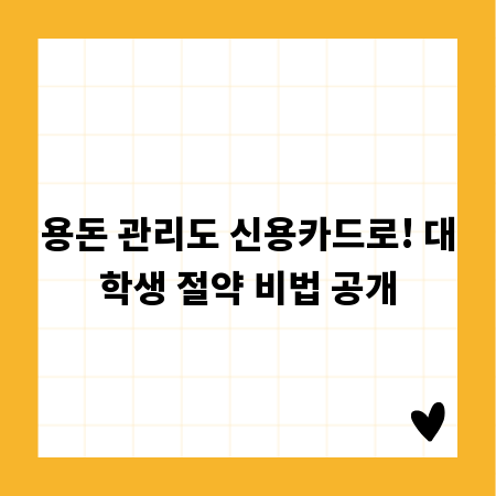 용돈 관리도 신용카드로! 대학생 절약 비법 공개