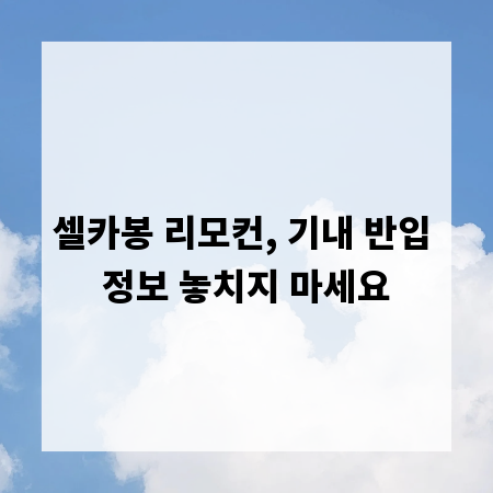 셀카봉 리모컨, 기내 반입 정보 놓치지 마세요
