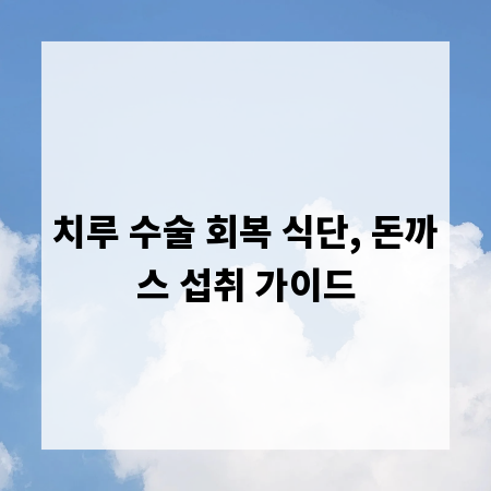 치루 수술 회복 식단, 돈까스 섭취 가이드