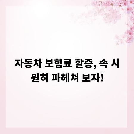 자동차 보험료 할증, 속 시원히 파헤쳐 보자!
