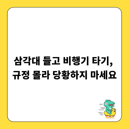 삼각대 들고 비행기 타기, 규정 몰라 당황하지 마세요
