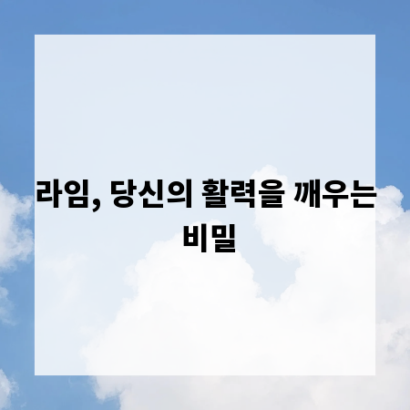 라임, 당신의 활력을 깨우는 비밀