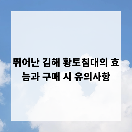 뛰어난 김해 황토침대의 효능과 구매 시 유의사항