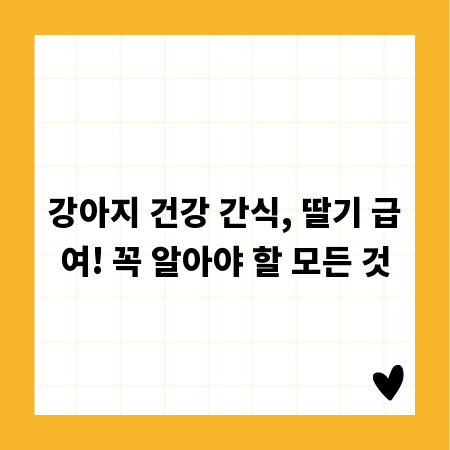 강아지 건강 간식, 딸기 급여! 꼭 알아야 할 모든 것