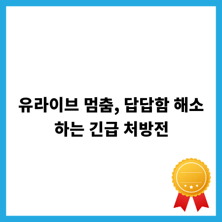 유라이브 멈춤, 답답함 해소하는 긴급 처방전