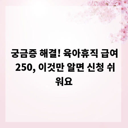 궁금증 해결! 육아휴직 급여 250, 이것만 알면 신청 쉬워요
