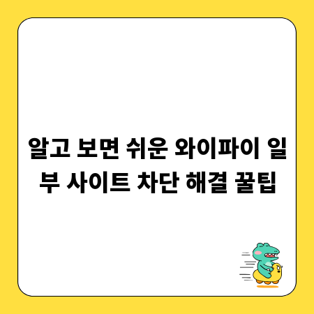 알고 보면 쉬운 와이파이 일부 사이트 차단 해결 꿀팁