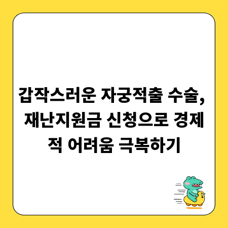 갑작스러운 자궁적출 수술, 재난지원금 신청으로 경제적 어려움 극복하기