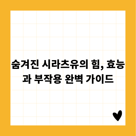 숨겨진 시라츠유의 힘, 효능과 부작용 완벽 가이드