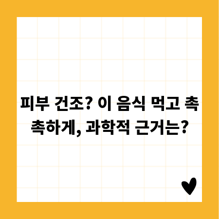 푸석한 피부 이제 그만! 피부 건조에 좋은 음식 총정리