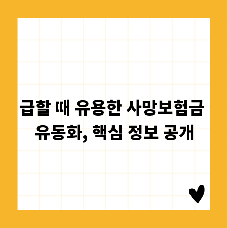 급할 때 유용한 사망보험금 유동화, 핵심 정보 공개