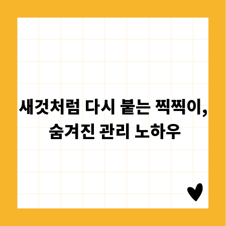 새것처럼 다시 붙는 찍찍이, 숨겨진 관리 노하우