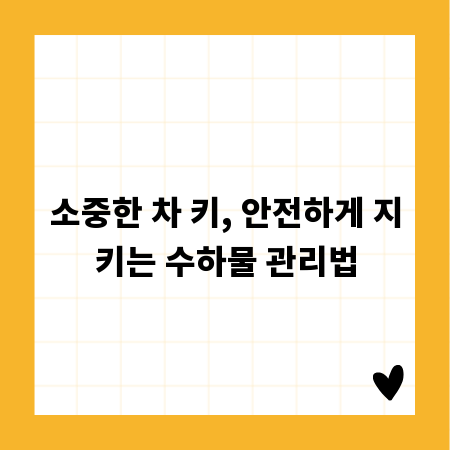 소중한 차 키, 안전하게 지키는 수하물 관리법