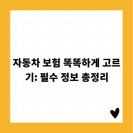 자동차 보험 똑똑하게 고르기: 필수 정보 총정리