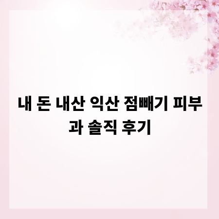 내 돈 내산 익산 점빼기 피부과 솔직 후기