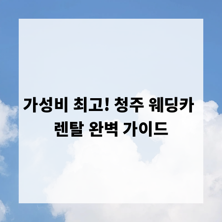 가성비 최고! 청주 웨딩카 렌탈 완벽 가이드