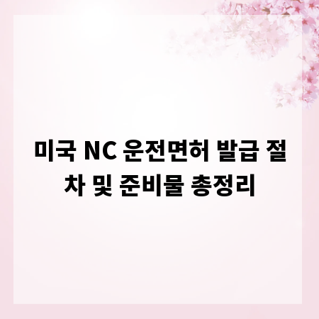 미국 NC 운전면허 발급 절차 및 준비물 총정리